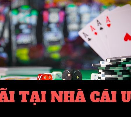 Những lý do game thủ mê đánh bài online tại Vbet89